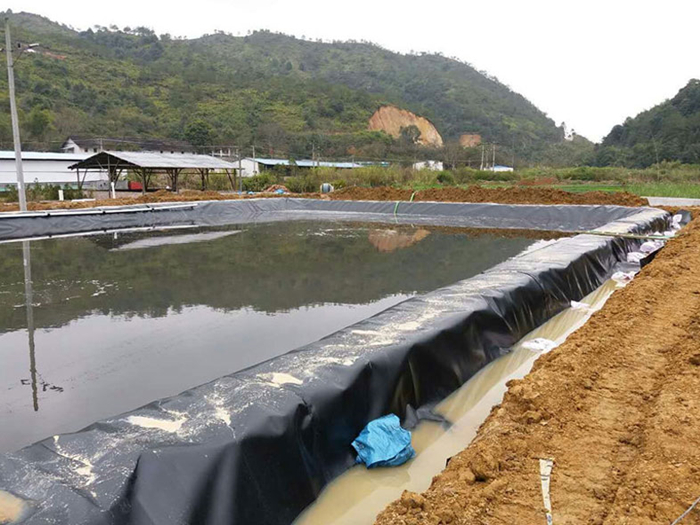 魚(yú)塘里用土工膜做防滲層需不需要回填土壤？